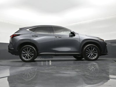 2023 Lexus NX 250 NX 250