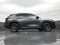 2023 Lexus NX 250 NX 250