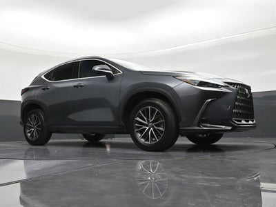 2023 Lexus NX 250 NX 250