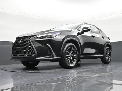 2024 Lexus NX NX 250