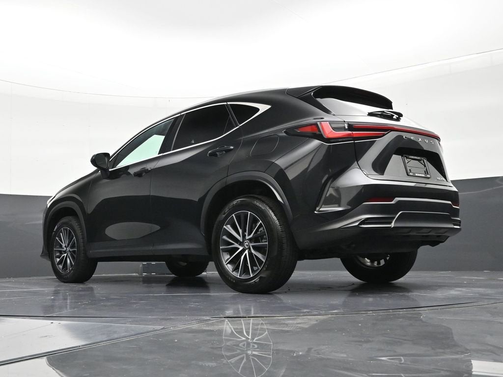 2024 Lexus NX NX 250