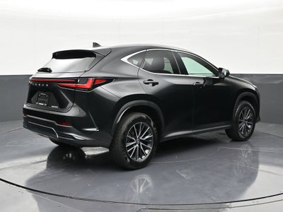2024 Lexus NX NX 250