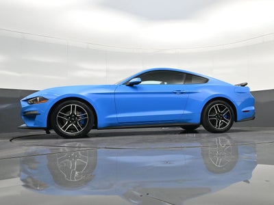 2023 Ford Mustang EcoBoost
