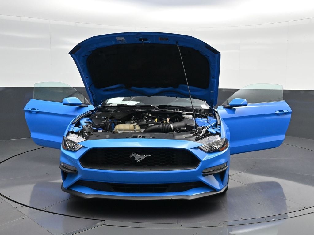 2023 Ford Mustang EcoBoost