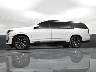 2024 Cadillac Escalade ESV Sport Platinum