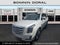 2018 Cadillac Escalade Platinum Edition