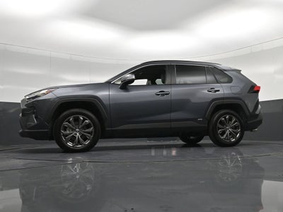 2025 Toyota RAV4 Hybrid XLE Premium